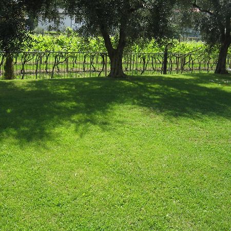 Casa Carla Aparthotel Torbole Sul Garda ภายนอก รูปภาพ